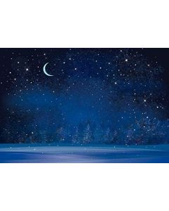 Yeele 12x8ft Winter Night Snowfall Snowflake Photography Backdrops Starry Sky Moon Blurry Fir Trees Pine Forest Background Merry Christmas Happy New Year Party Banner Decoration Studio Props