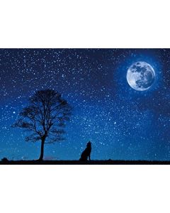 Yeele 9x6ft Night Backdrop Starry Sky Moon Wolf Photography Background Pictures Kid Children Adult Portrait Photo Booth Video Shooting Vinyl Drape Wallpaper Studio Props