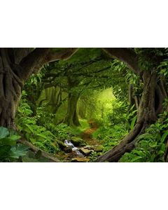 Tropical Jungle Photography Backdrop - Photo Background - Yeele 7x5ft Vinyl Mysterious Dreamy and Magical Forest Customized Backdrop Kid Girl Baby Adult Portrait Shoot Studio Props Wallpaper