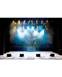 Yeele 10x8ft Stage Lights Backdrop Concert Discotheque Club Spotlight Background for Photography Adult Photo Booth Video Shooting Vinyl Wallpaper Photocall Studio Props