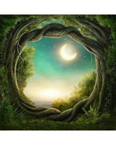 Yeele 8x8ft Fantasy Forest Backdrop Fairy Tale Ivy Night Moon Stars Landscape Photography Background Baby Girl Boy Adult Portrait Photo Booth Shooting Vinyl Wallpaper Studio Props