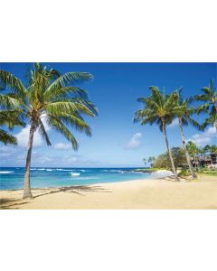 Yeele 15x10ft Seaside Backdrop for Photography Sandy Beach Palm Trees Background Summer Tropical Ocean Outdoors Nature Scenic Kids Adult Holiday Travel Photo Booth Shoot Vinyl Studio Props