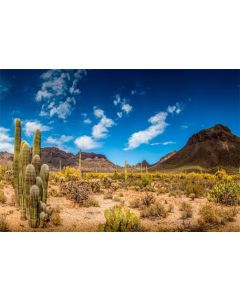 Yeele 10x8ft Desert Mountain Backdrops for Photography Saguaro Cactus Nature Landscape Background Wilderness Hiking Superstition Mountain Baby Girl Boy Photo Video Shoot Vinyl Studio Props